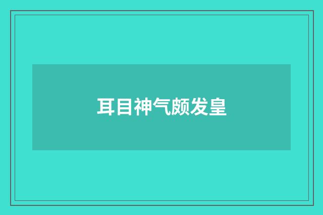 耳目神气颇发皇