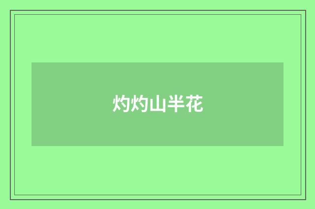 灼灼山半花