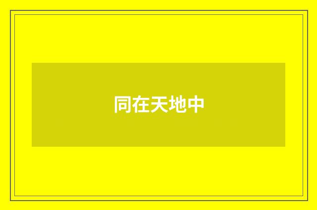 同在天地中
