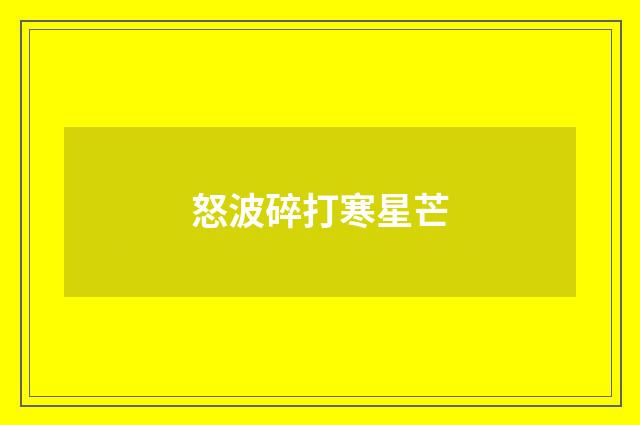怒波碎打寒星芒