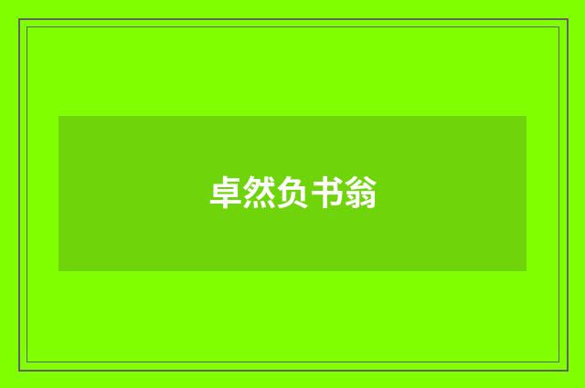 卓然负书翁