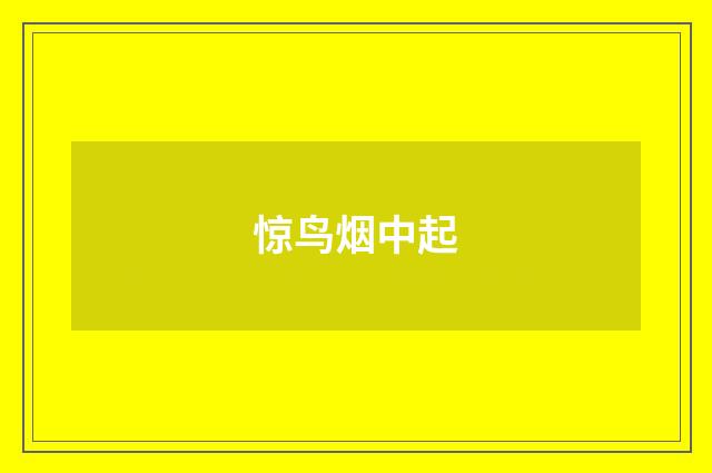 惊鸟烟中起
