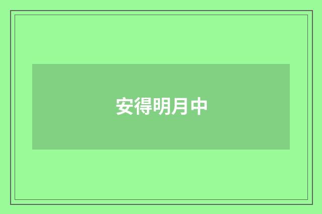 安得明月中