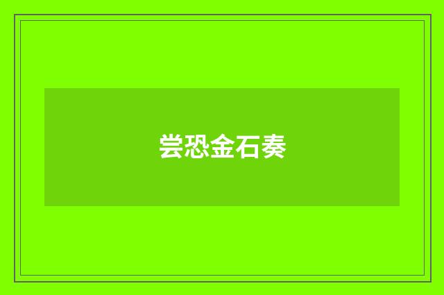 尝恐金石奏