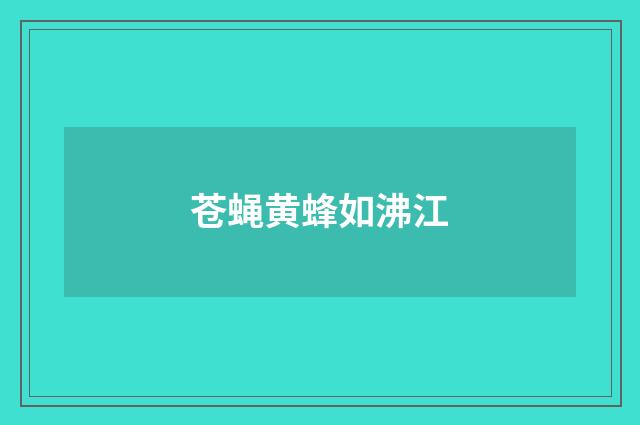 苍蝇黄蜂如沸江