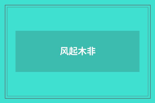 风起木非