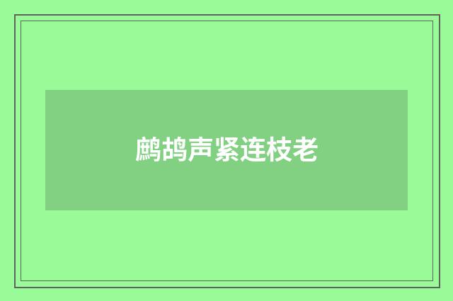 鹧鸪声紧连枝老