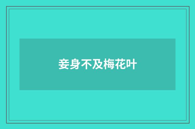 妾身不及梅花叶
