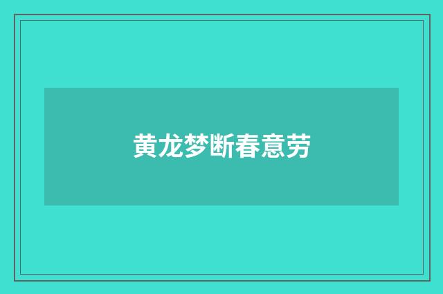 黄龙梦断春意劳