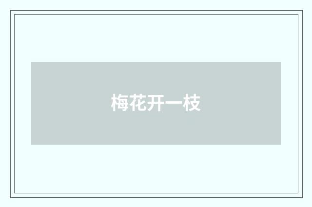 梅花开一枝