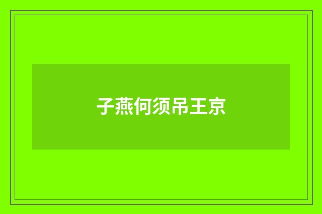子燕何须吊王京
