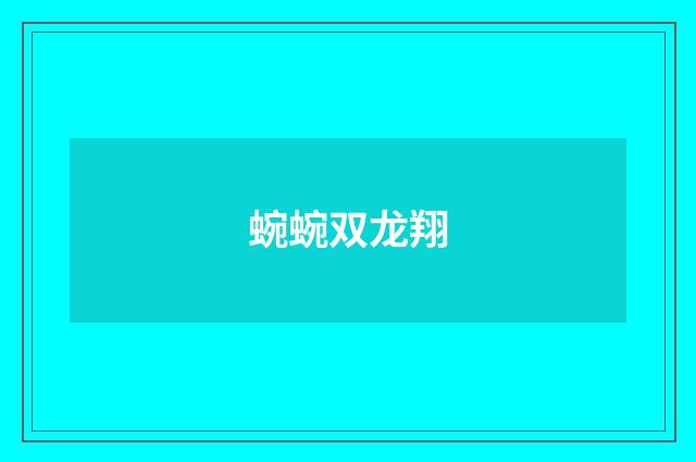 蜿蜿双龙翔