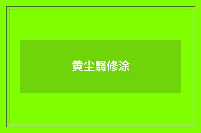 黄尘翳修涂