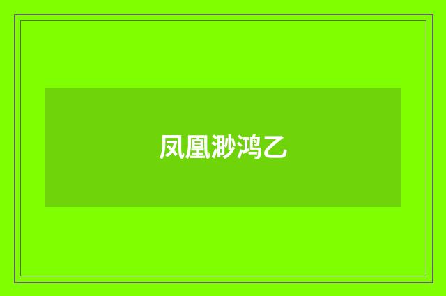 凤凰渺鸿乙