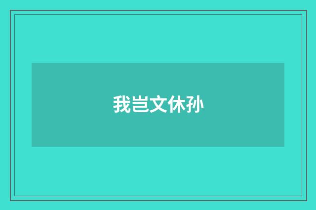 我岂文休孙