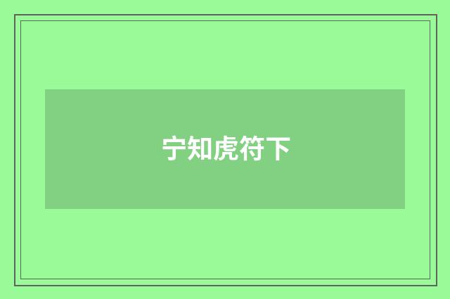 宁知虎符下
