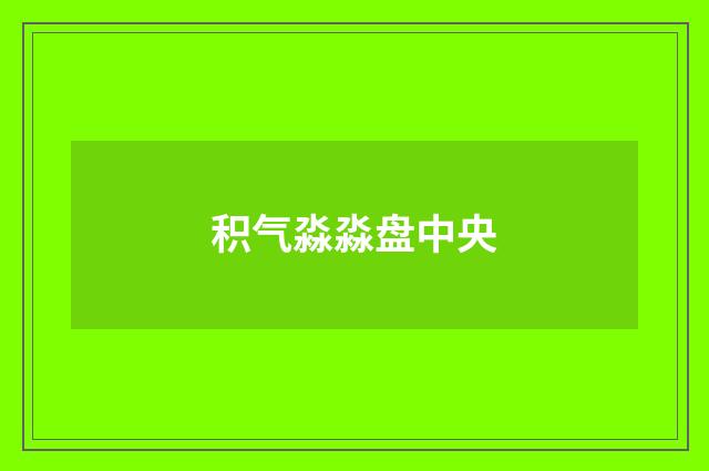 积气淼淼盘中央
