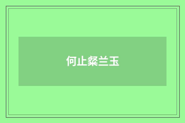 何止粲兰玉