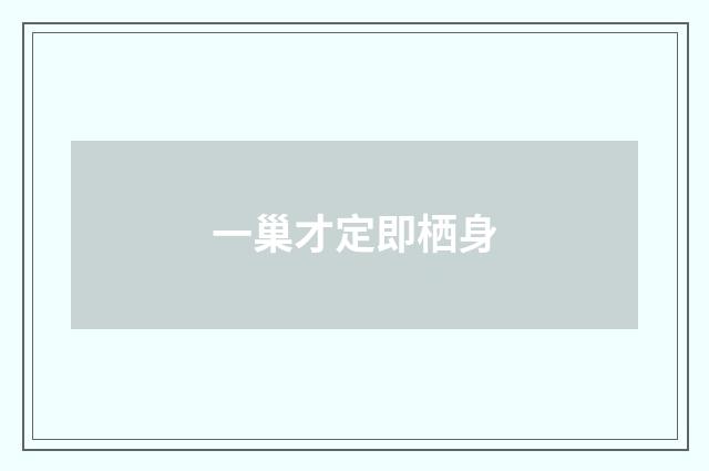 一巢才定即栖身