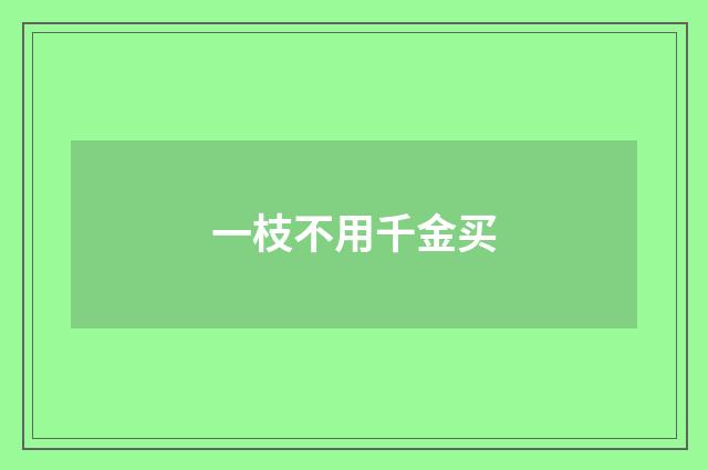 一枝不用千金买