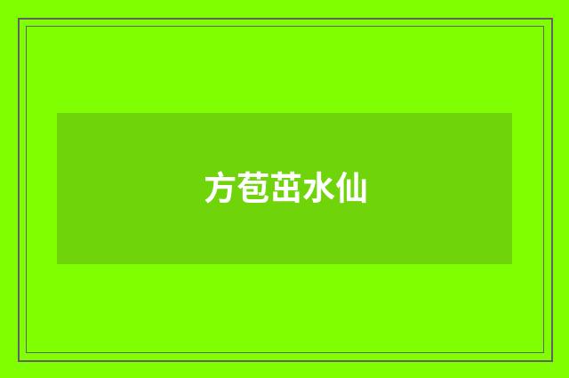 方苞茁水仙