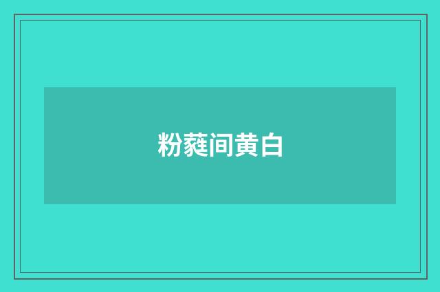 粉蕤间黄白