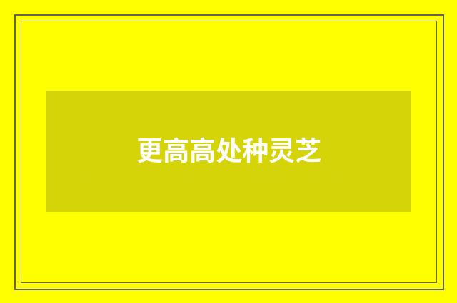 更高高处种灵芝