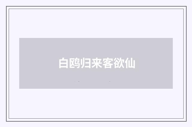 白鸥归来客欲仙