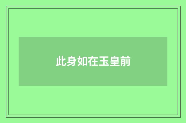此身如在玉皇前