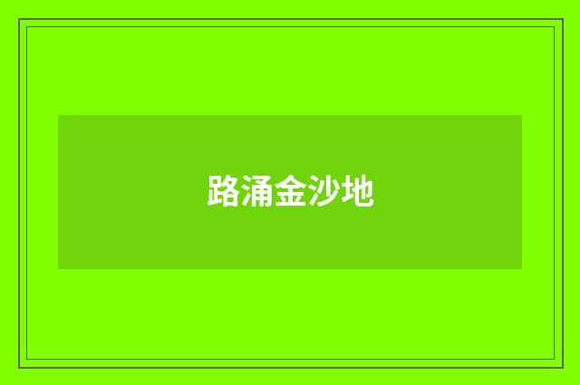 路涌金沙地
