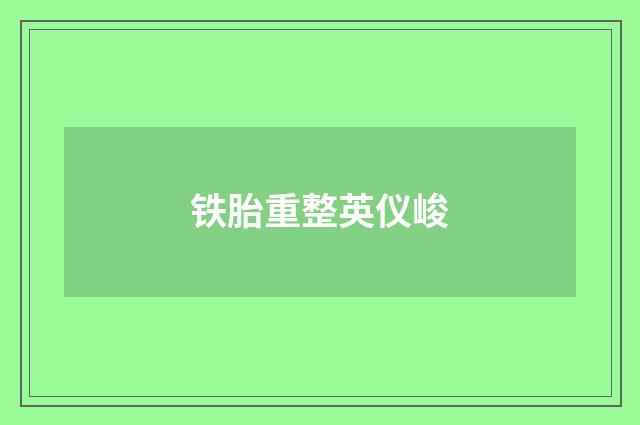 铁胎重整英仪峻