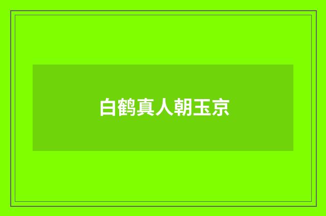 白鹤真人朝玉京