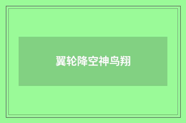 翼轮降空神鸟翔