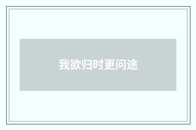 我欲归时更问途