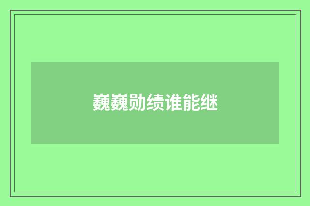 巍巍勋绩谁能继