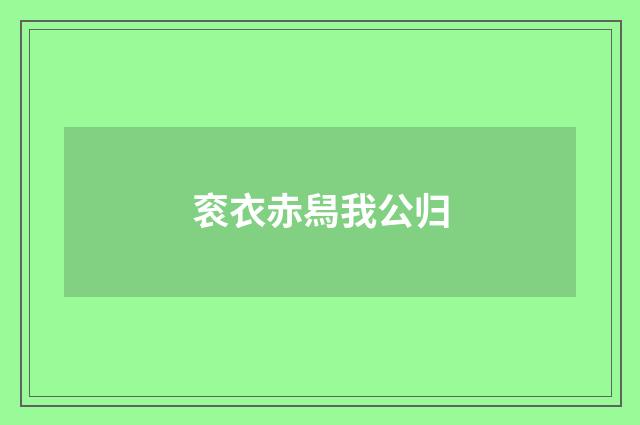 衮衣赤舄我公归