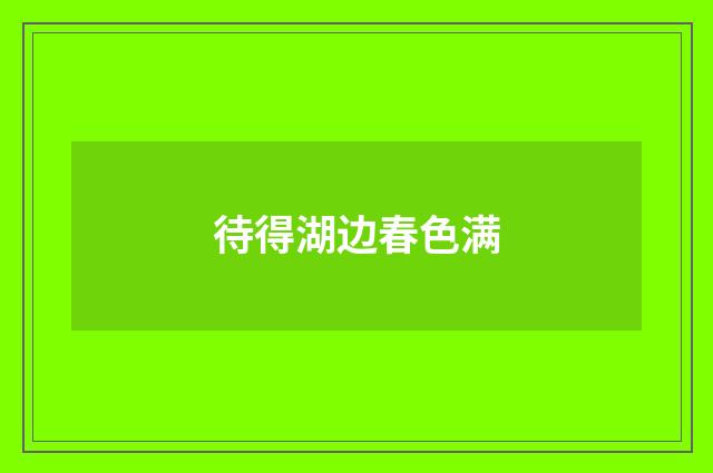 待得湖边春色满