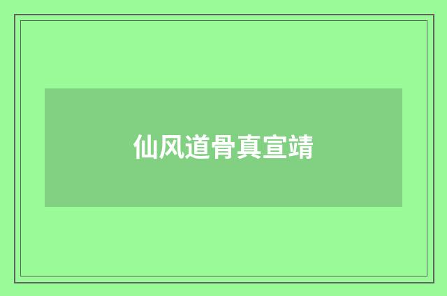 仙风道骨真宣靖