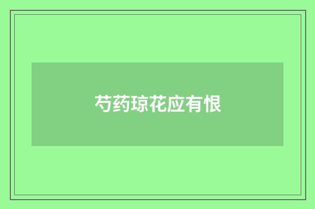 芍药琼花应有恨