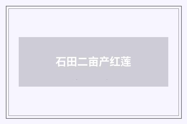 石田二亩产红莲