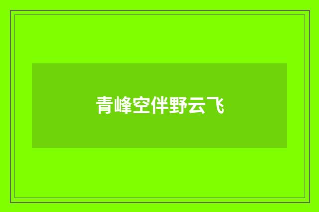 青峰空伴野云飞