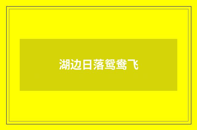 湖边日落鸳鸯飞