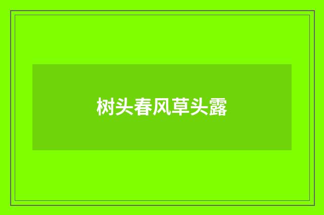 树头春风草头露