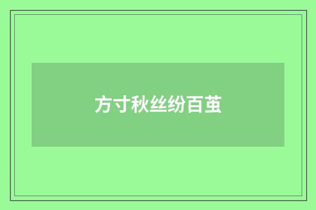 方寸秋丝纷百茧