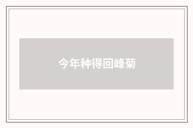 今年种得回峰菊
