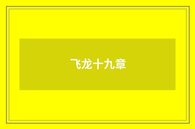 飞龙十九章