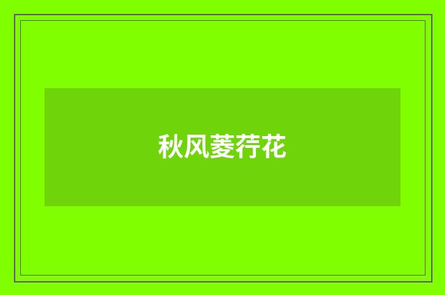 秋风菱荇花