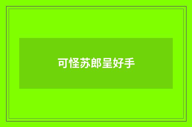 可怪苏郎呈好手