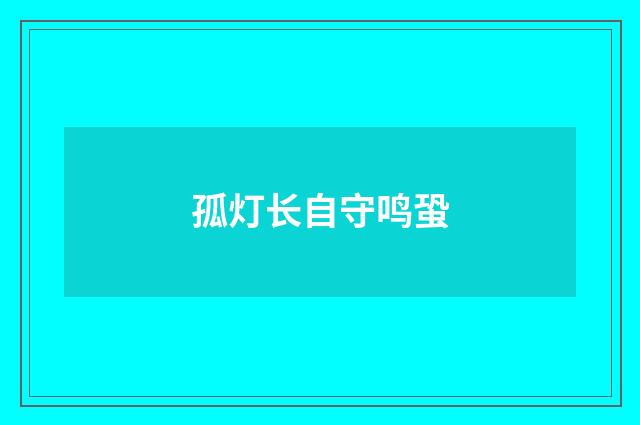 孤灯长自守鸣蛩