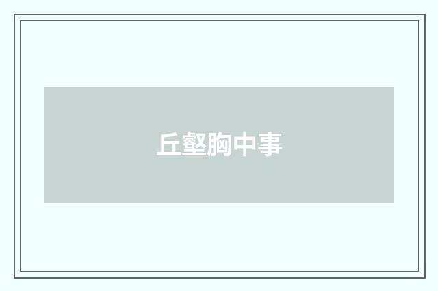 丘壑胸中事